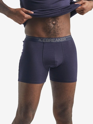 ICEBREAKER - Cueca desportiva 'Anatomica' em roxo: frente