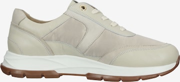 SALAMANDER Sneakers in Beige