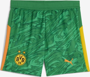 PUMA Sportshorts 'Borussia Dortmund 25/26' in Grün: Vorderseite