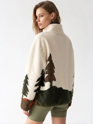 MixRaySweater majica 'Sweatshirts' - miks boja boja