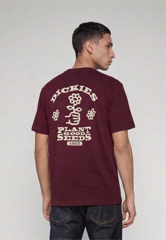 Maglietta 'GOOD SEEDS' di DICKIES in rosso: frontale