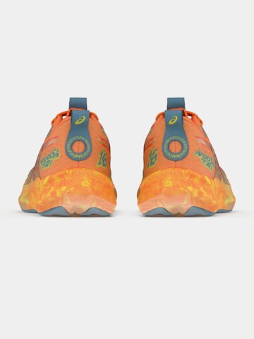 Chaussure de course 'Noosa Tri 16' ASICS en orange