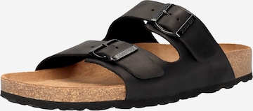 SALAMANDER Mules in Black: front