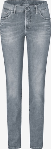 PADDOCKS Slim fit Jeans in Grey: front