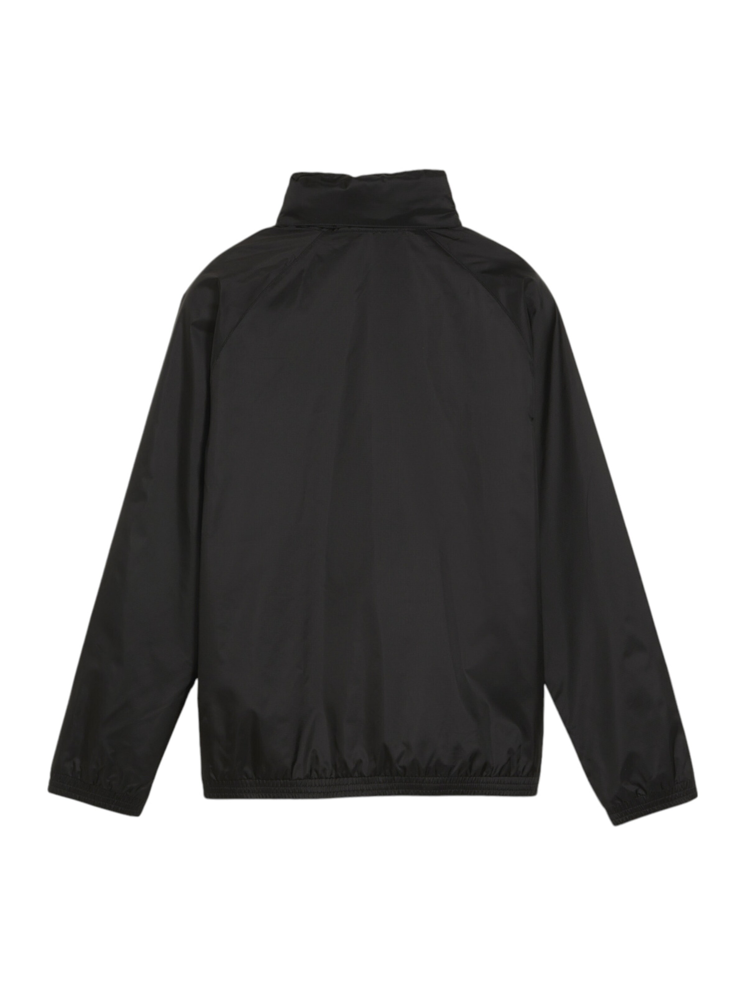 PUMA Athletic Jacket 'TeamGoal' in Black