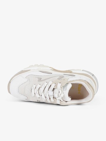 ASH Sneakers laag 'Addict' in Beige