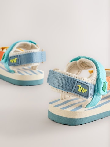 Next Sandale in Mischfarben