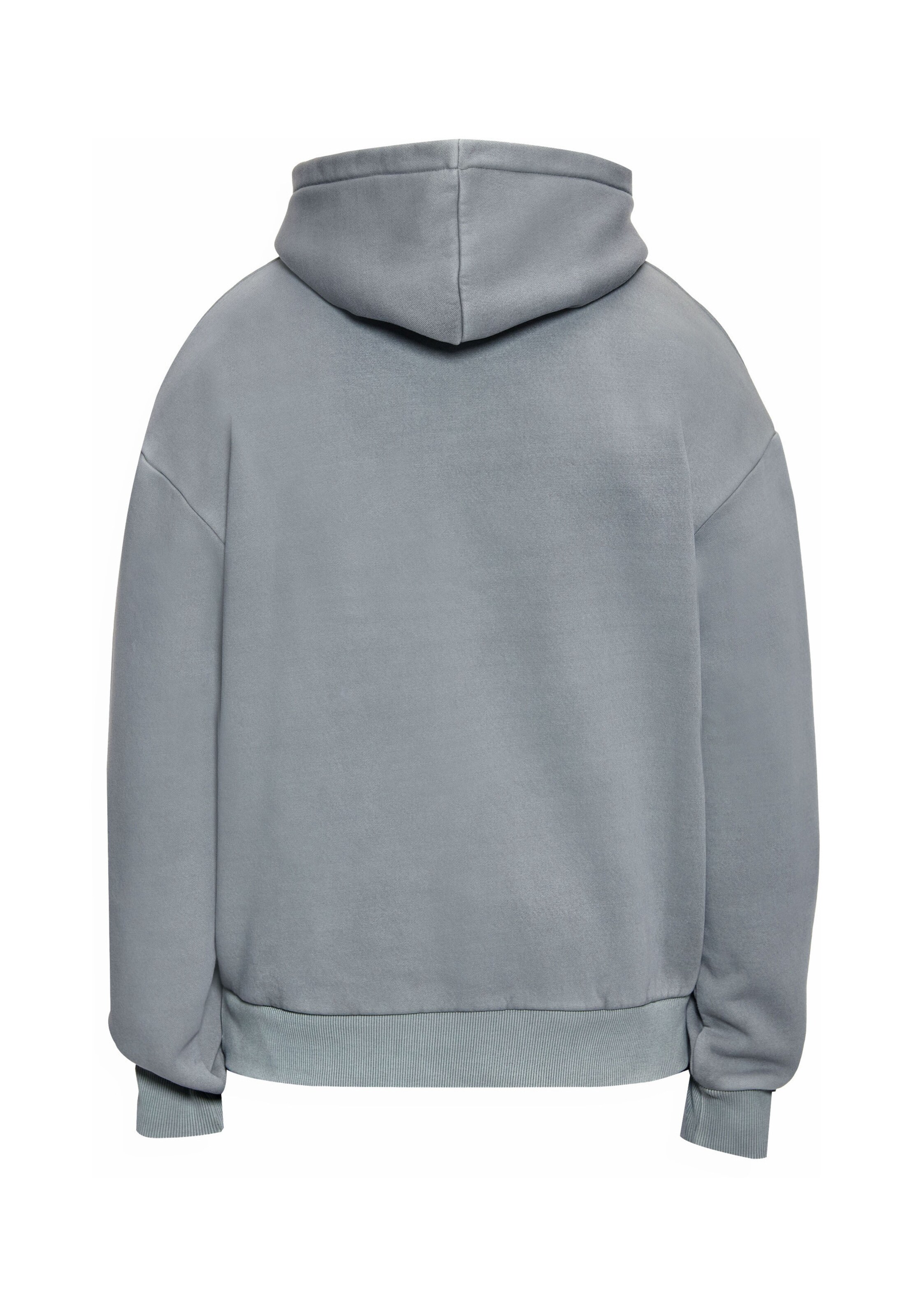 Dropsize - Sweatshirt em cinzento