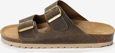 Bayton Natikače s potpeticom 'Atlas' u čokolada, Pregled proizvoda