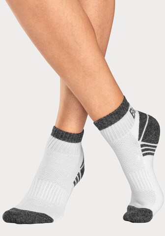 BENCH Athletic Socks in White