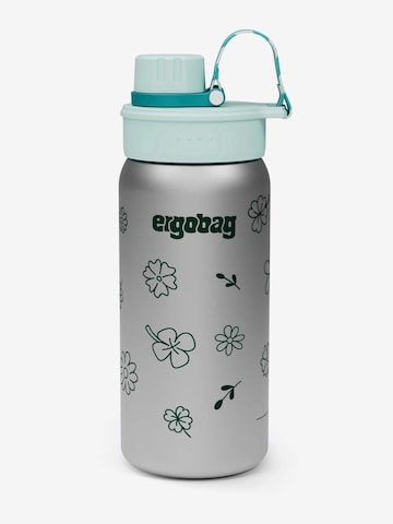 ergobag Trinkflasche 'Trinkflasche Edelstahl Trinkflasche' in Grün: Vorderseite