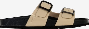 Mule GEOX en marron : devant