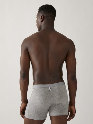 ARMEDANGELS Boxershorts 'Ricaard' in Grijs