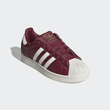 ADIDAS ORIGINALS Sneaker 'Superstar II' in Rot
