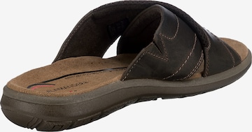 SALAMANDER Mules 'Logato' in Brown