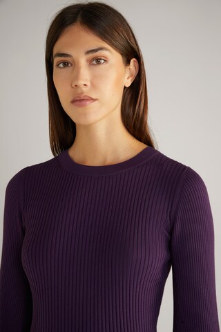 JOOP! Pullover in Lila