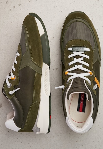 LLOYD Sneakers laag 'EGIDIO' in Groen