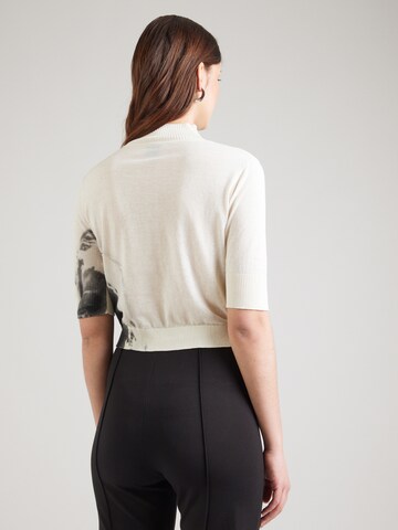 PINKO Sweater in Beige