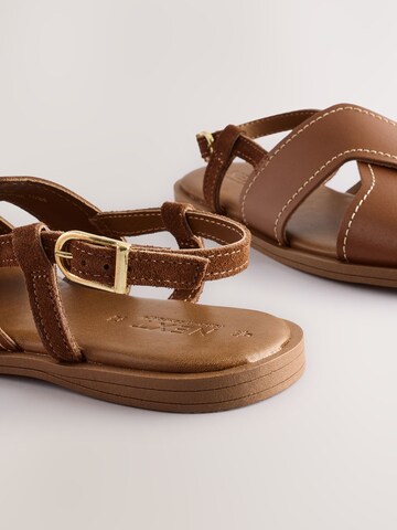 Next Sandals in Brown