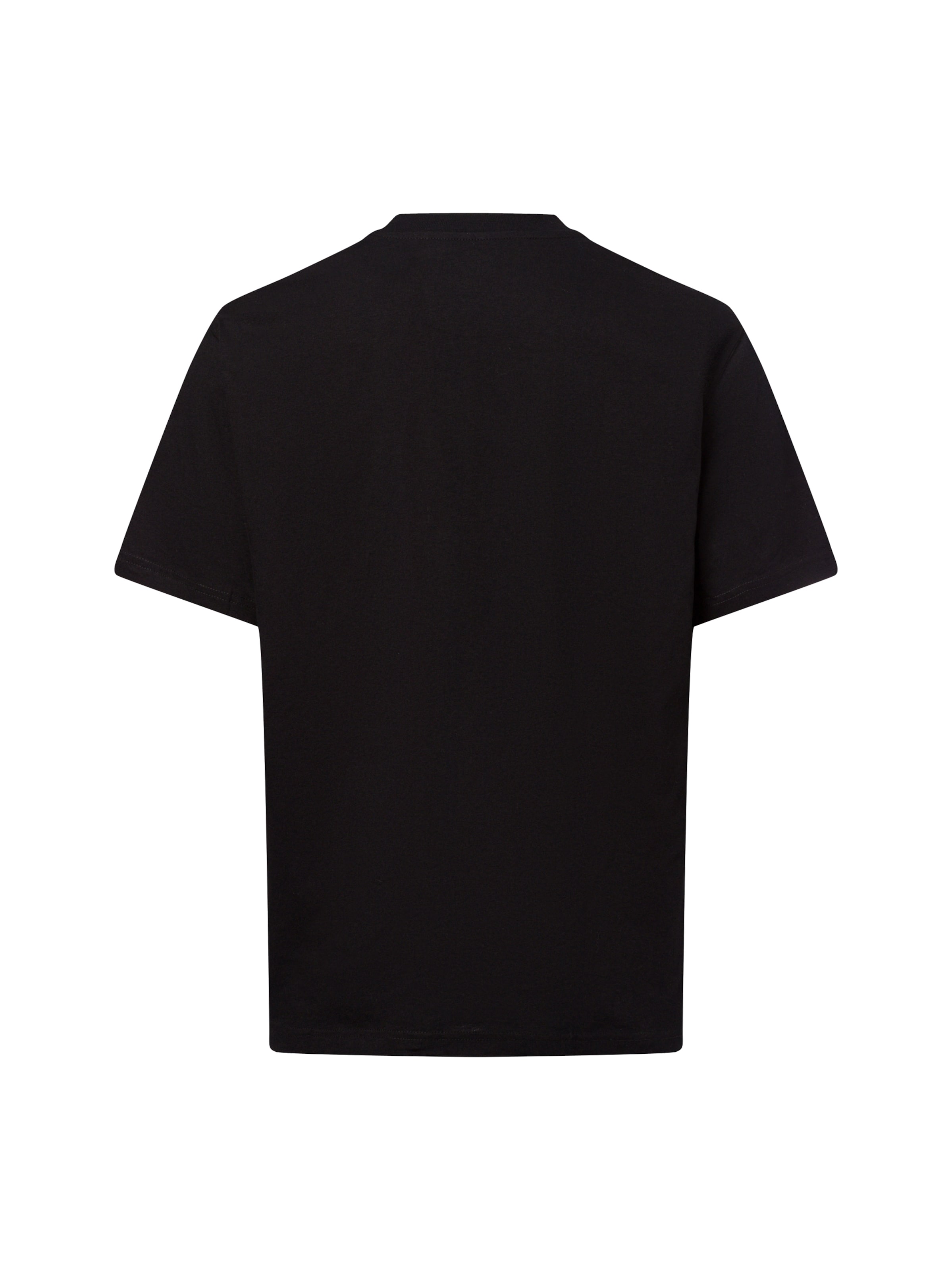 DICKIES Póló 'Summerdale' - fekete