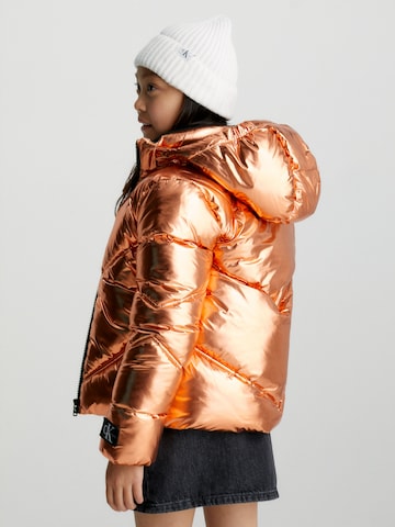 Calvin Klein Jeans Winter Jacket in Bronze