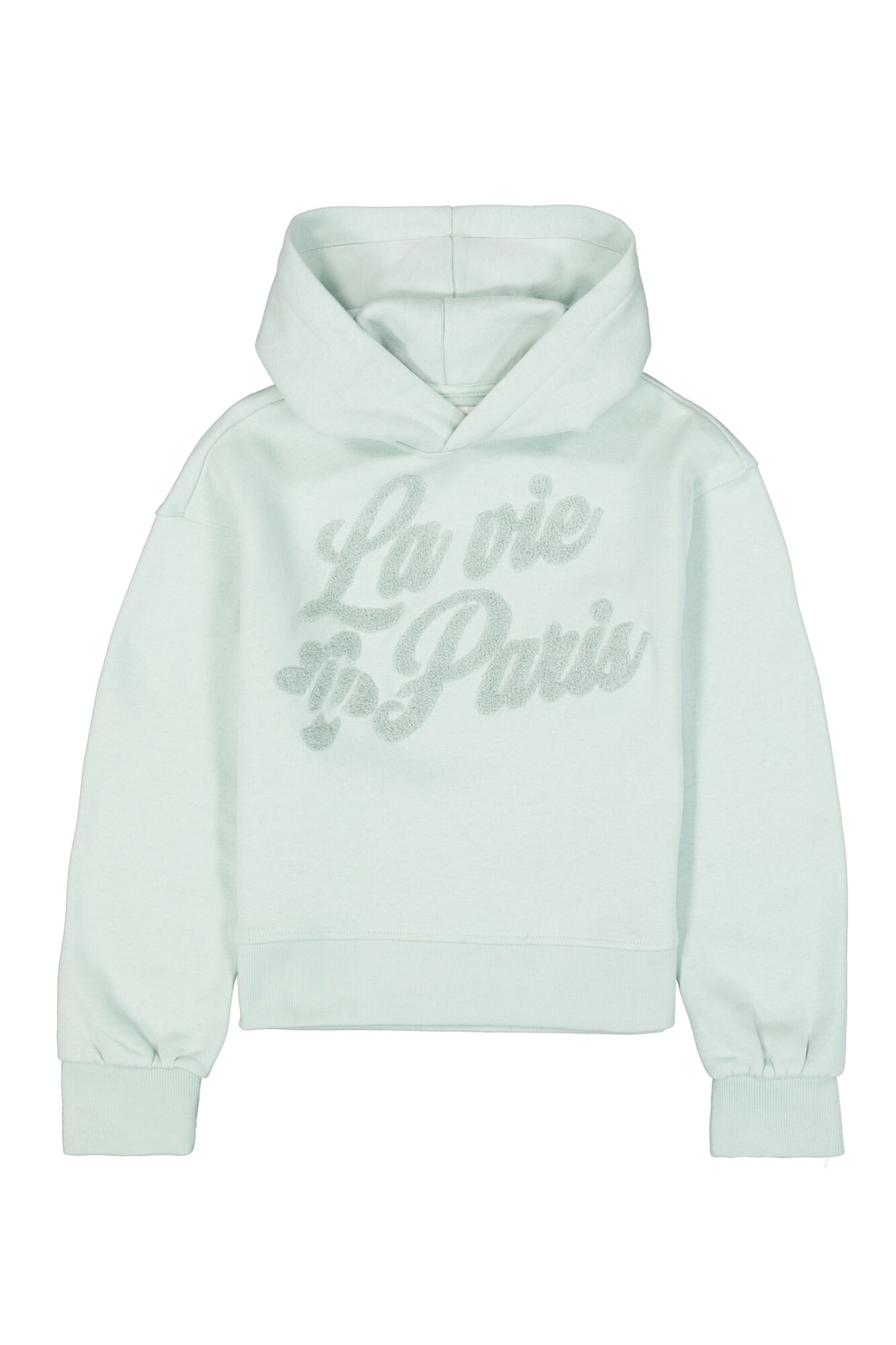GARCIA Sweatshirt in Groen: voorkant
