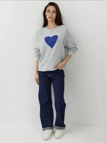 Hiccup - Sweatshirt em cinzento