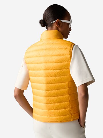 BOGNER Sports Vest in Orange