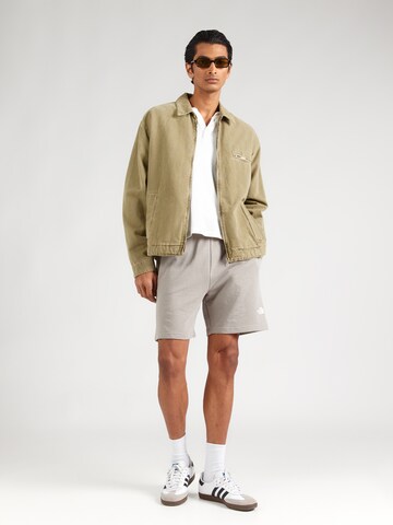 pilka THE NORTH FACE Standartinis Kelnės 'Simple Dome'