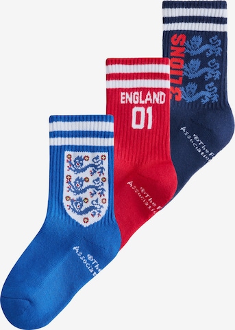 Chaussettes Next en mélange de couleurs : devant