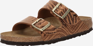 BIRKENSTOCK Пантолеты 'Arizona' в Коричневый: спереди