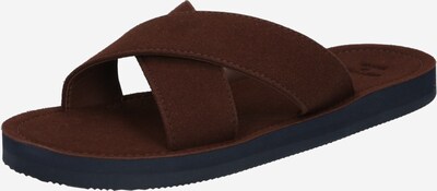 Superdry Pantolette in schoko, Produktansicht
