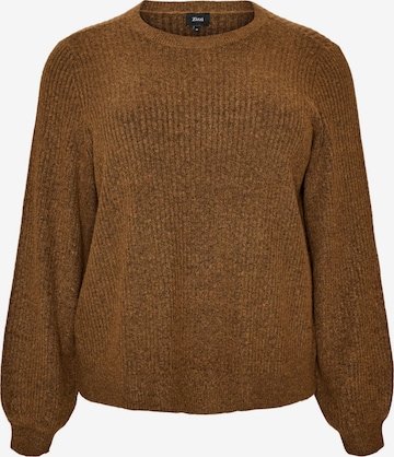 Pullover 'CAVISTA' di Zizzi in marrone: frontale