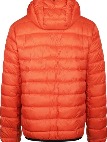 McGREGOR Winterparka in Groen