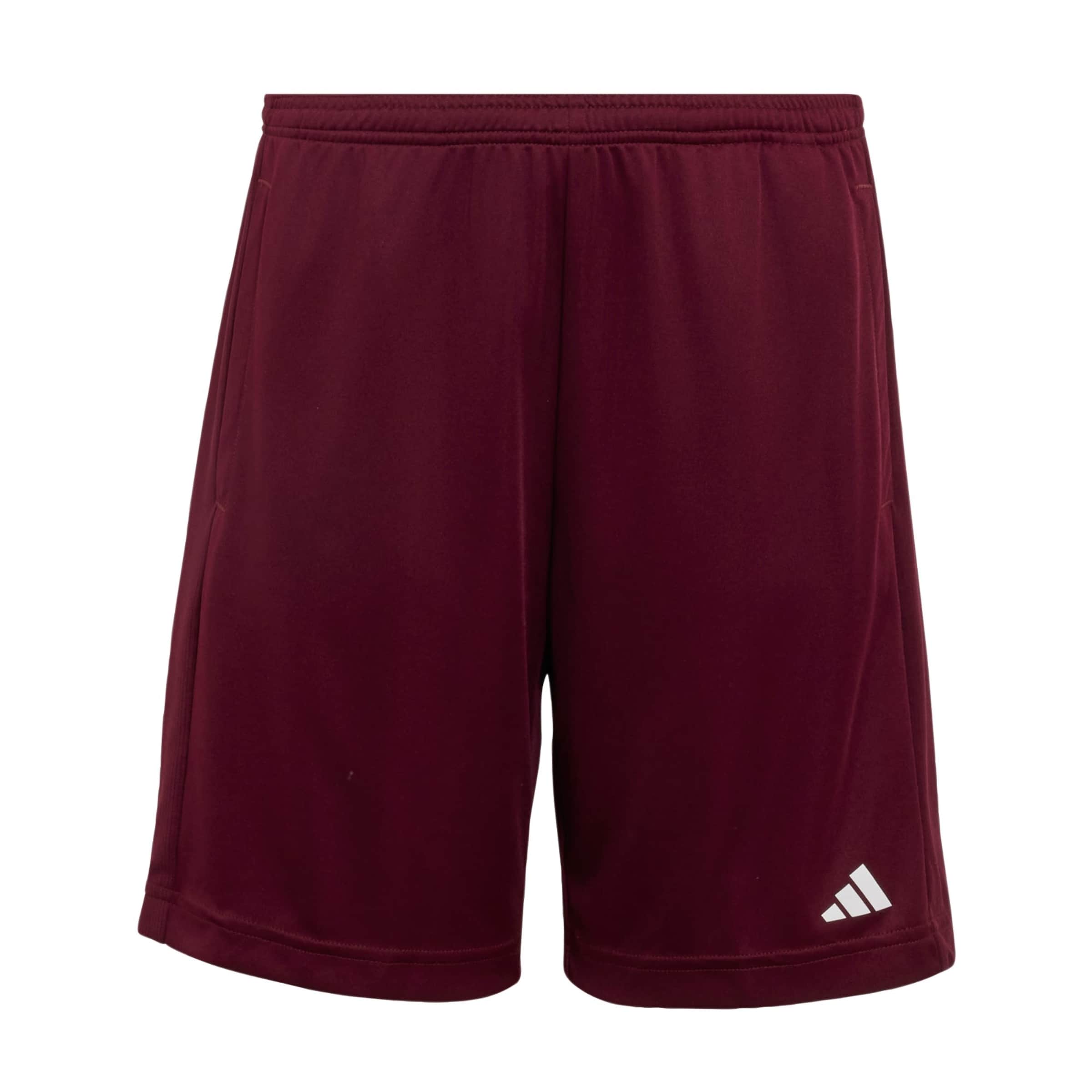 ADIDAS SPORTSWEAR Regular Sportbroek 'Essentials' in Rood: voorkant