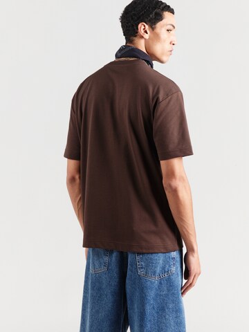 HOLLISTER Majica | rjava barva