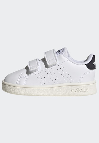 Baskets 'Advantage' ADIDAS ORIGINALS en blanc : devant