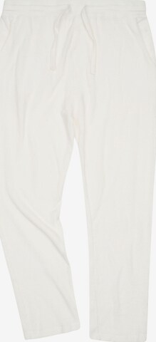 Loosefit Pantalon 'Pantalon Sponge' LDB en blanc : devant