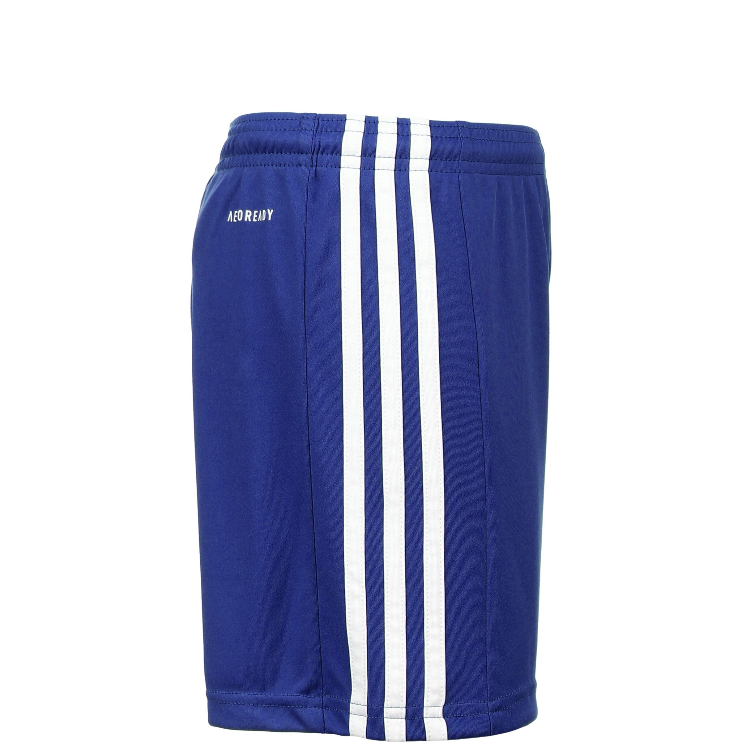 ADIDAS PERFORMANCE Regular Workout Pants 'Squad D 21' in Blue