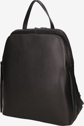 Gave Lux Backpack in Black: front