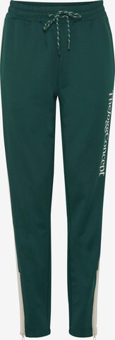 regular Pantaloni sportivi 'SIMA' di The Jogg Concept in verde: frontale