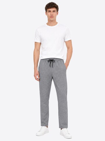 YAGESHARK Regular Workout Pants 'Jogginghose Herren' in Grey