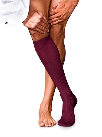 FALKE Knee High Socks 'No. 7 Finest Merino' in Red: front