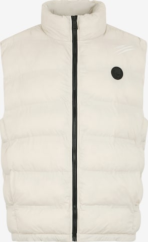 Plein Sport Bodywarmer 'Scratch' in Grijs: voorkant