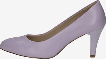 CAPRICE Pumps in Lila