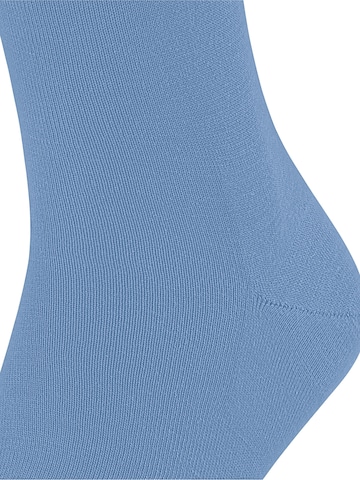 FALKE Socks in Blue