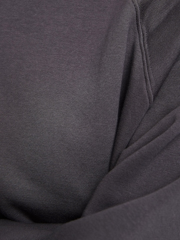 Bershka Sweatshirt i grå