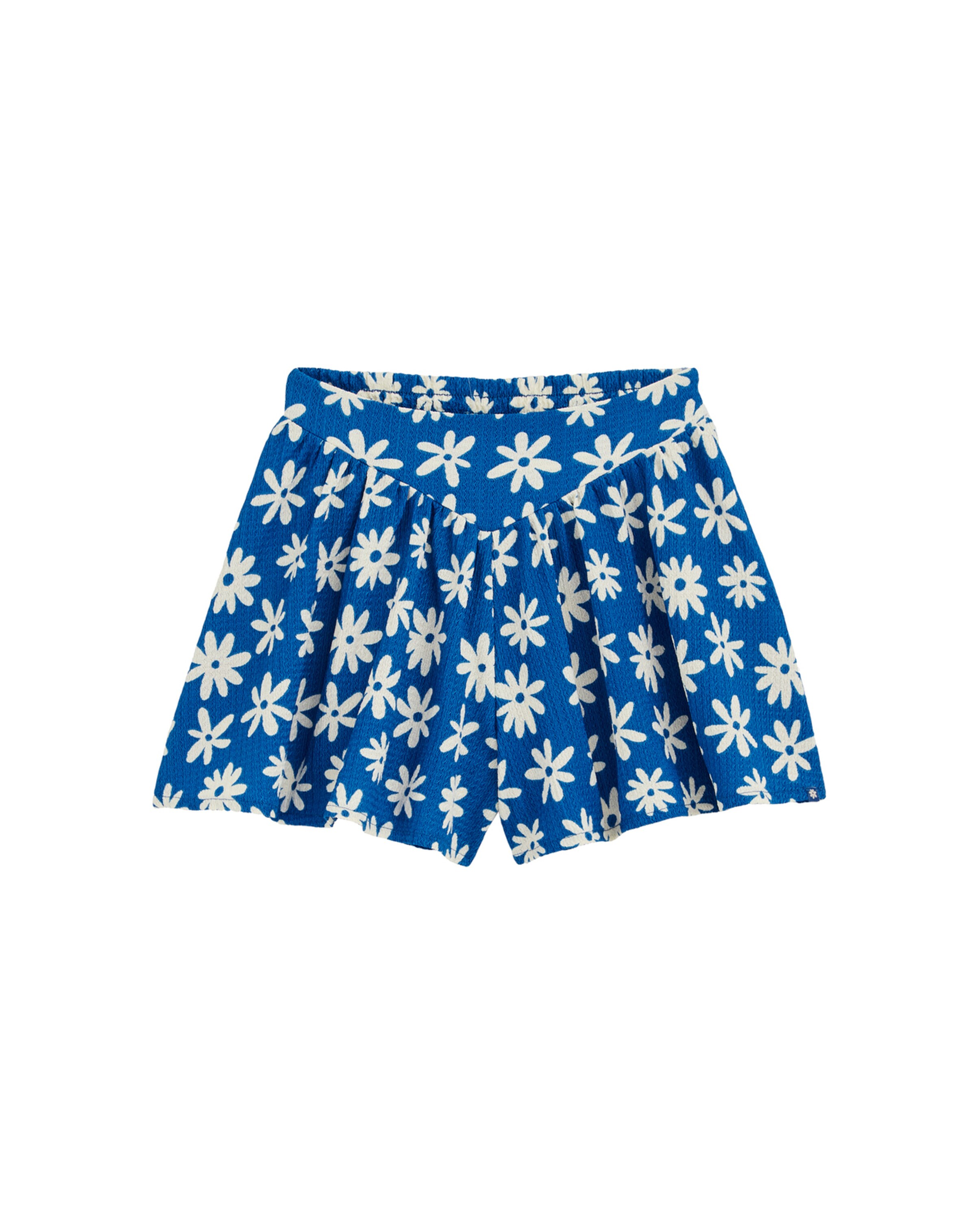 WE Fashion regular Παντελόνι σε μπλε: μπροστά