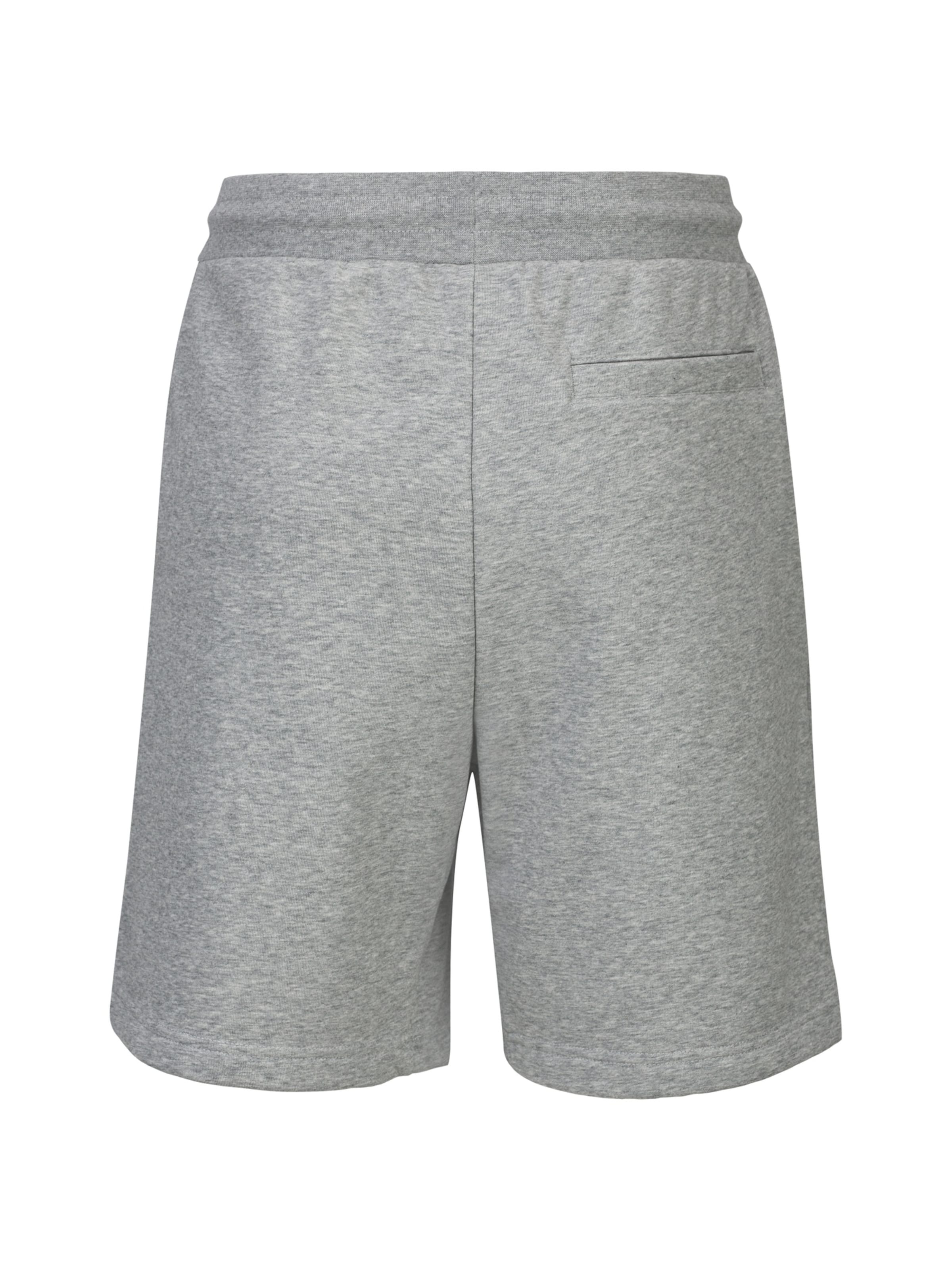 19V69 ITALIA Regular Trousers 'Sergio' in Grey