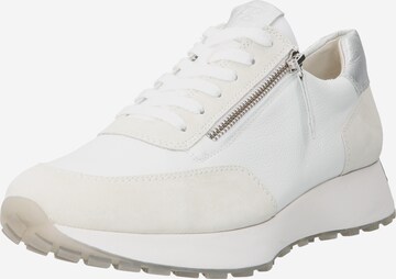 Paul Green Sneakers in White: front